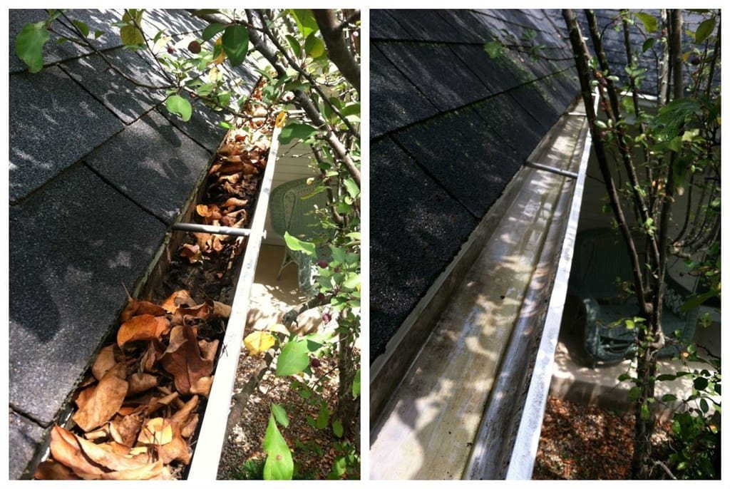 Gutter Cleaning or Gutter Inspection > JT Rewards