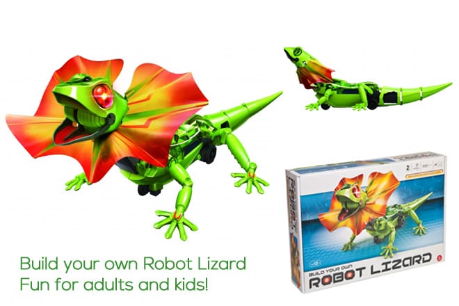 build your own robot lizard